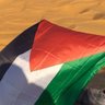 فاطمة🇩🇿🇵🇸💚 的头像