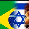 Francisco Bazoni's profile picture