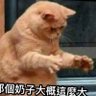 楓 的头像