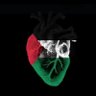 Profilbild von Abdullah alkharusi 🇴🇲