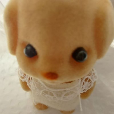 konokonojk20's profile picture