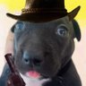 elgorronea's profile picture