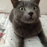 Profilbild von UpperCAT