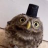 Хлопчик в формі's profile picture