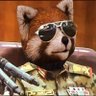 ماركوني العنيد's profile picture