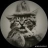 Nuels profil fotoğrafı