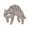 Profilbild von とうこ