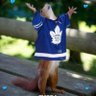cheryl McCarthy's profile picture