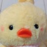 เป็ดกั๊บ(สำรองno.1😁)'s profile picture