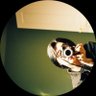 あおりんごじゃぬ profil fotoğrafı