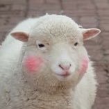 realgoat07's profile picture