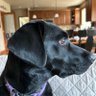 M's profile picture