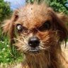 Profilbild von Dave Dave
