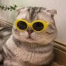 Coco's profile picture