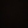 rocio suarez's profile picture