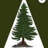 Adam🇺🇸's profile picture