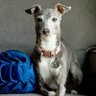 Jim's profile picture