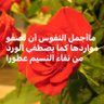 Muhsen abd al kareem 的头像