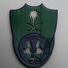 Profilbild von بطل النخبوي 🏆💚