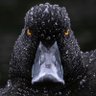 iamsidge's profile picture