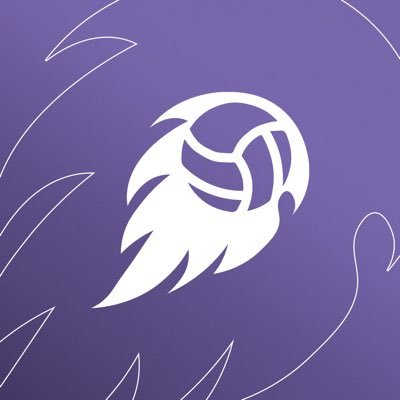 saudidodgeball's profile picture