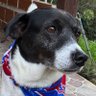 Ale's profile picture
