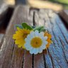 Фото профиля Fatima Hallak