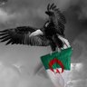 🇩🇿القدس_عاصمه_فلسطين_الأبدية🇵🇸 的头像