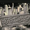 مصطف's profile picture