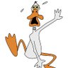 QuackingTruth profil fotoğrafı