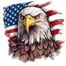 Фото профиля 🇺🇸FL MAGAPatriot🇺🇸