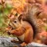 Eric.青山遮不住 profil fotoğrafı