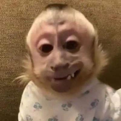 Cutestprsonn's profile picture