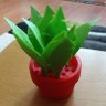 Plantgamer09🆖🪴🍊 profil fotoğrafı