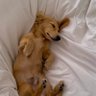 Patrik's profile picture