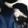 🍺 fizzy 🍷🫧 kraft 🖊️🖌️🐱 profil fotoğrafı