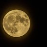 Фото профиля MOON