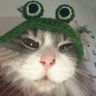 aweuk kot profil fotoğrafı
