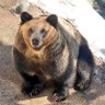 Фото профиля Urso