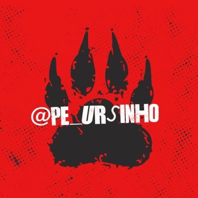 pe_ursinho's profile picture