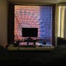 jodinorth's profile picture
