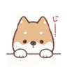 よしくん profil fotoğrafı