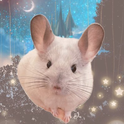 kazuyo 🐭's profile picture