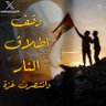 Profilbild von Ahmed Eldoly
