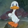 Ducc profil fotoğrafı