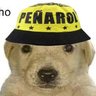 Perrito Carbonero🌓 的头像