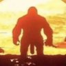 Jonny B. Auls's profile picture