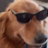 Javier's profile picture