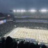 Eagles Muse's profile picture