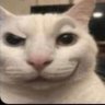 Aron's profile picture